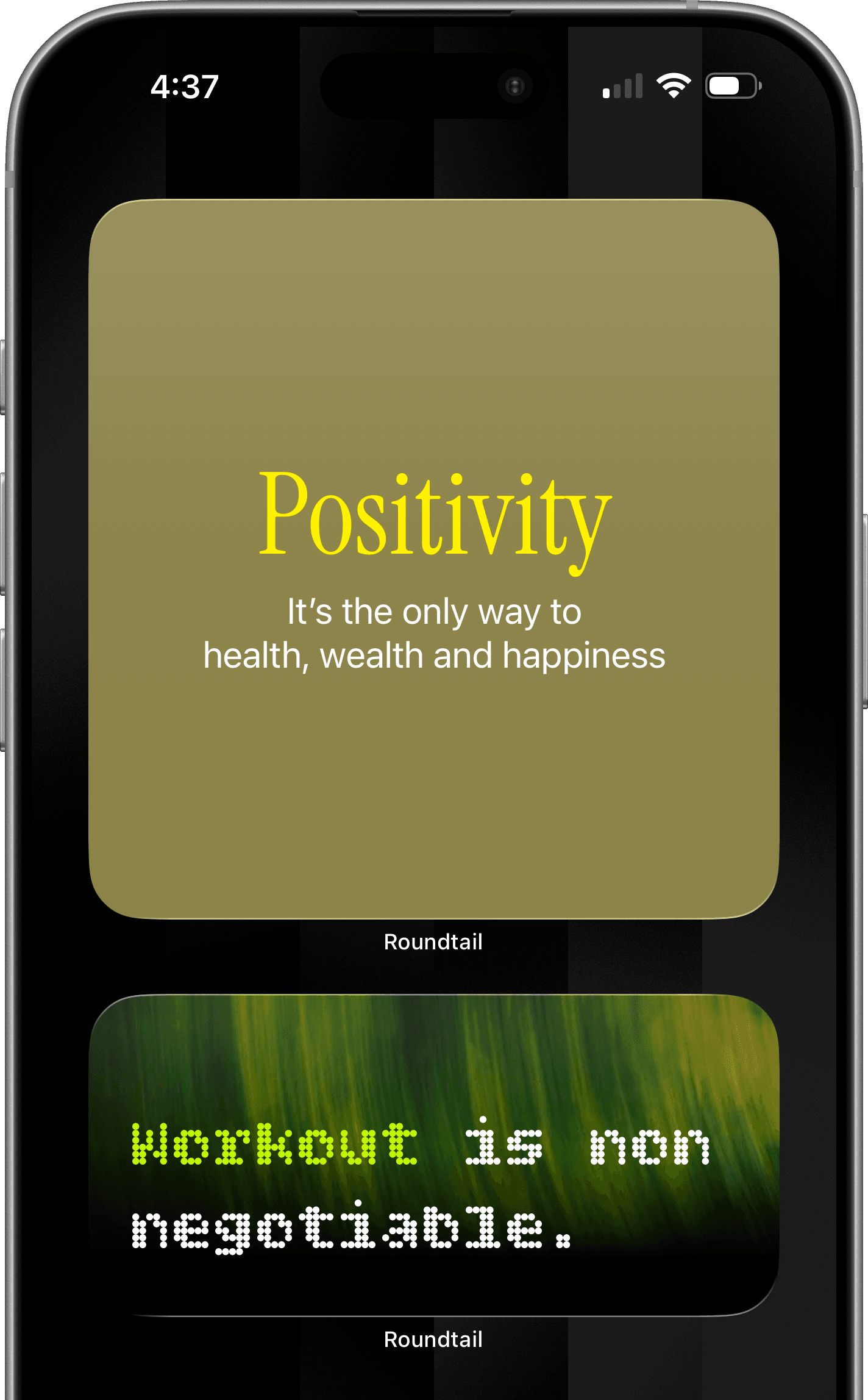Roundtail — iOS home screen showing quote widgets